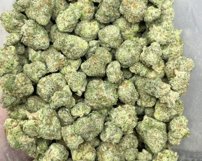 POWDERED DONUTS SMALLS (MEGA STEAL) (EXOTIC) - Image 4